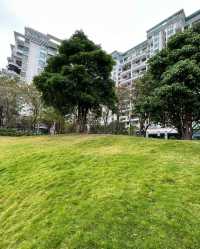 蛇口醉美之處，就是這處小眾「平平無奇」的公園！
