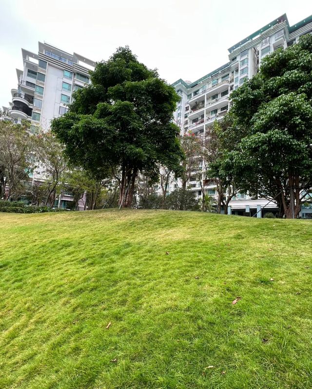 蛇口醉美之處，就是這處小眾「平平無奇」的公園！