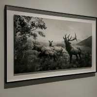 A Stunning Exhibition by Hiroshi Sugimoto