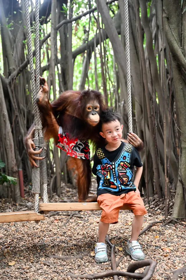 バンコクの野生動物園はとても楽しいです~~子供連れの方は必見です