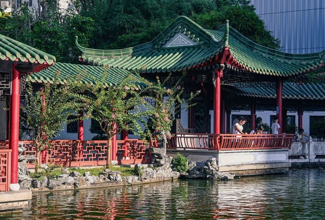 深圳｜ 市中心的一片寧靜！