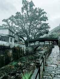 寧波棲霞坑村長安橋，散落鄉野的廊橋遺夢