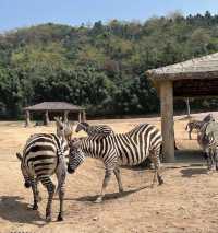 江蘇徐州九頂山野生動物園去親近大自然