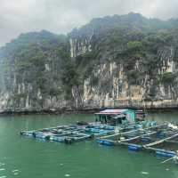 Skip Ha Long bay, visit Lan Ha bay instead 