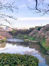 去公園吧！千鳥淵迷人櫻花隧道