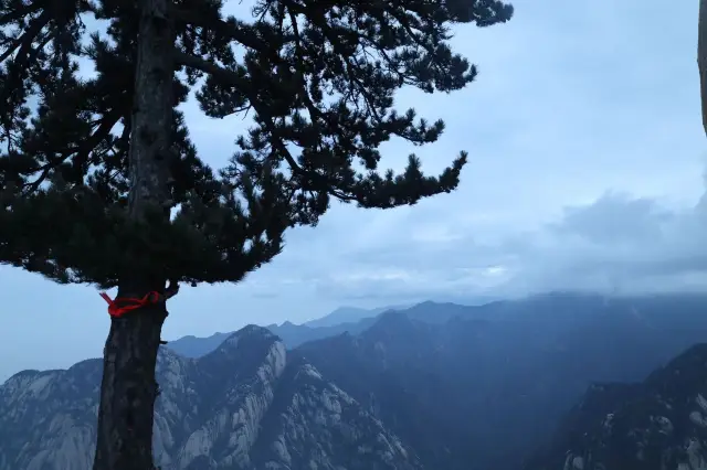 Mount Hua Swordplay, who will dominate?