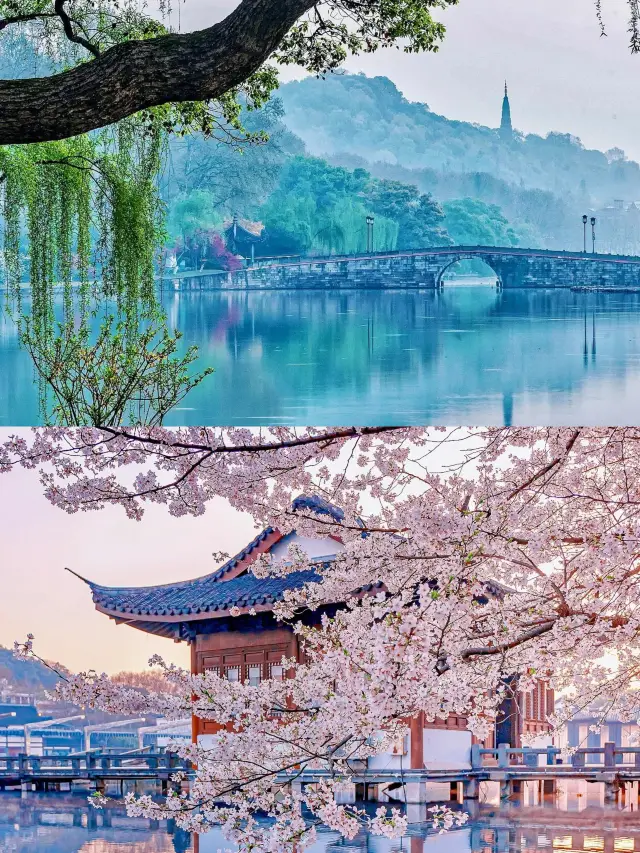 I thought Suzhou was already extremely beautiful, until I set foot in West Lake during spring