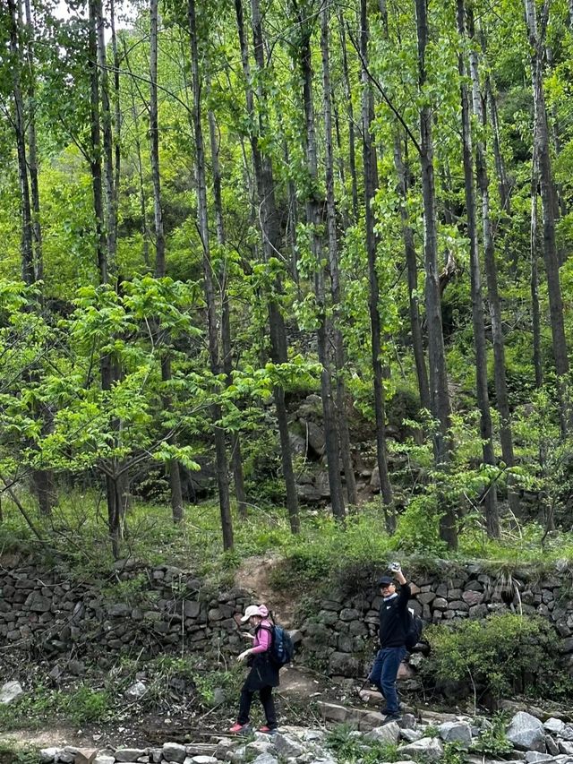 太行山，把最美的一段留給了南太行