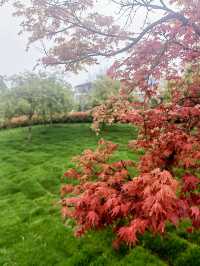 淳安墨香湖公園，走入朱熹方塘悟道的傳奇世界