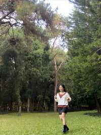 南寧市人民公園，現實版的綠野仙蹤！拍照打卡超出片！