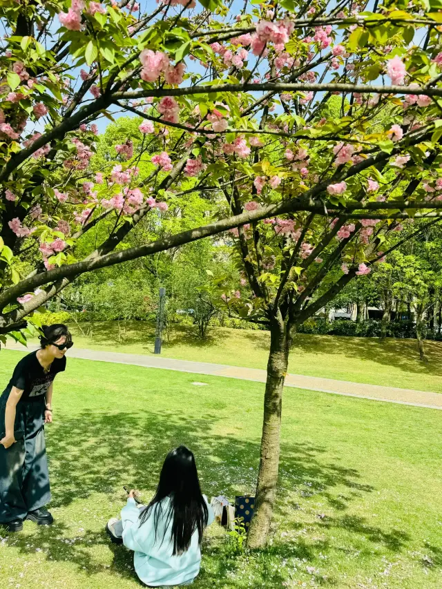 สวนสาธารณะ Tazishan ในเมืองเฉิงตู บ้านแห่งความสุข~