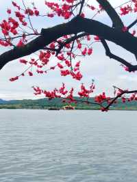 杭州「西湖」讓人一眼萬年的地方