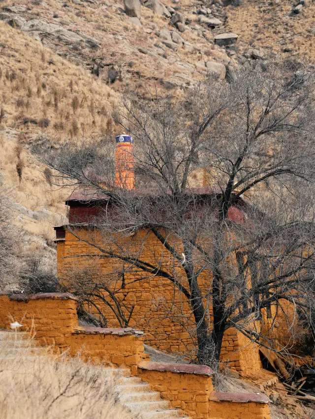 Tibet Travel | Climbing the back mountain of Sera Monastery