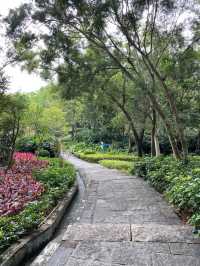 Longcheng Park Shenzhen 