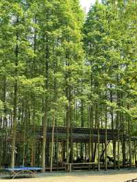 水上綠野仙蹤成都遛娃營地天花板