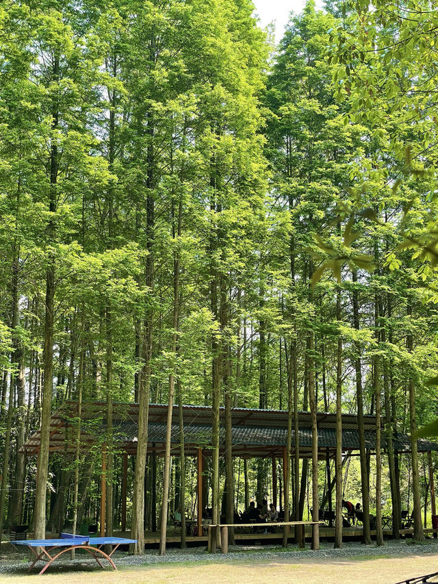 水上綠野仙蹤成都遛娃營地天花板