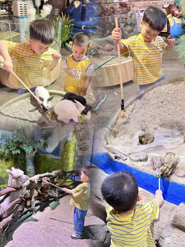 正佳雨林生態植物園