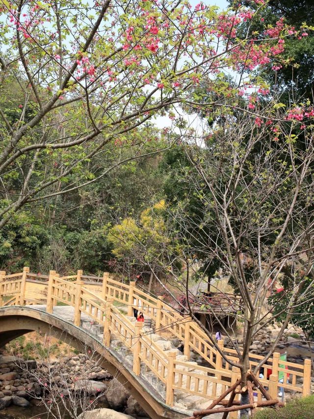 天竺山之春花烂漫