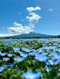 天氣好的富士山