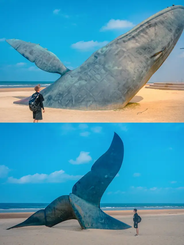 I made a special trip to Yantai for the stranded whales, and it was a romantic cry