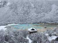 浮光碎花影 九寨四月春