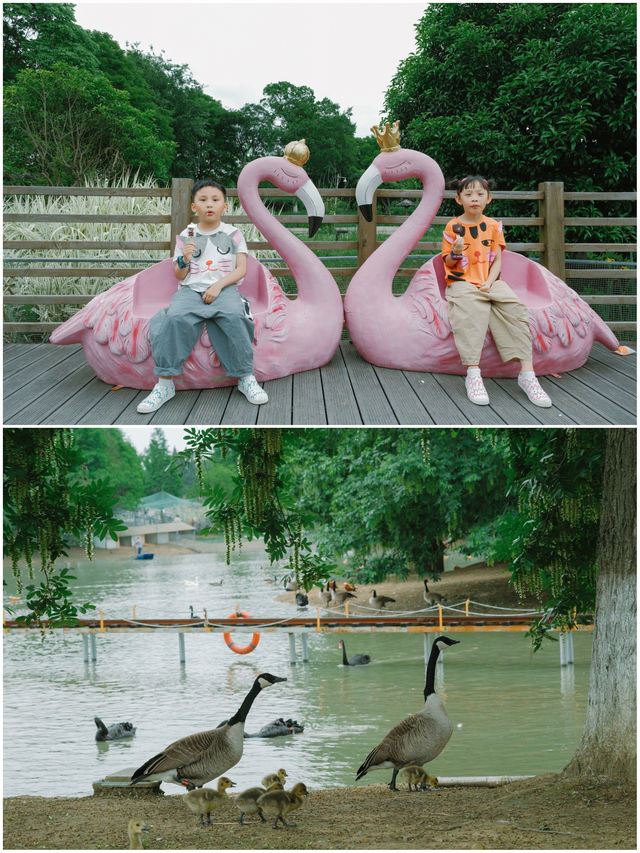 五一反向遛娃│水慢城人少景美還好玩