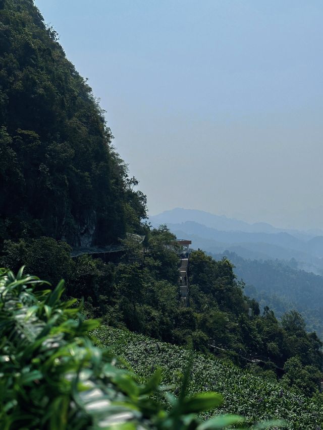 國家地理果然沒有騙我崇左德天跨過大瀑布