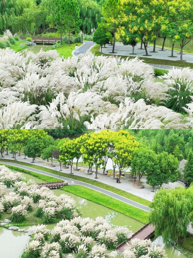 江蘇高郵，一個被低估的小眾旅行目的地|||