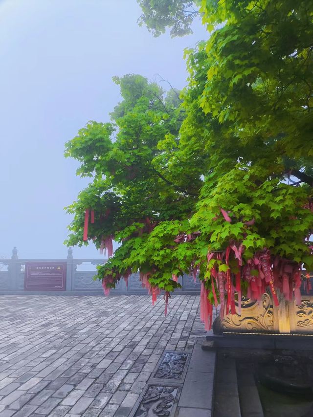 王屋山兩日遊精細攻略