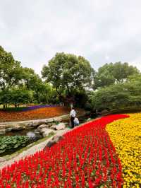 寧波日湖公園，亮點紛呈，值得一去再去