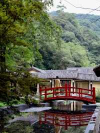 隱秘在山林深處的桃源居所。