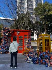 街頭偶遇花房書屋