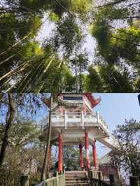 重慶永川｜天然氧吧茶山竹海