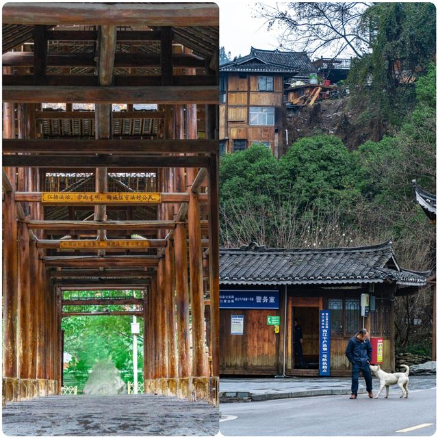 不來不知道 淡季來西江千戶苗寨贏麻了