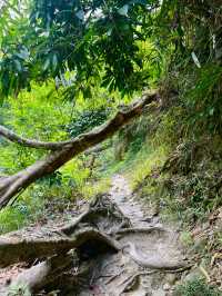 Pamuayan Waterfall - Port Barton 