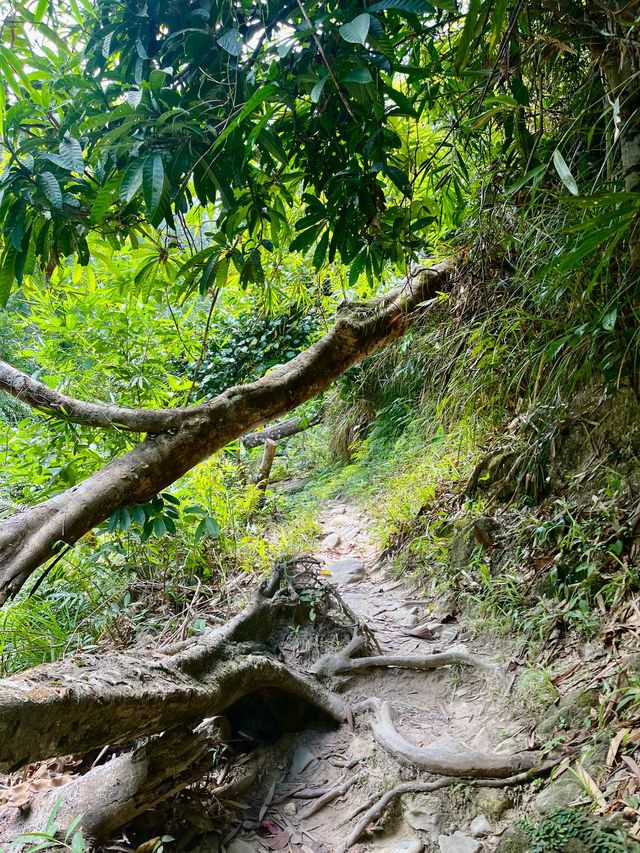 Pamuayan Waterfall - Port Barton 