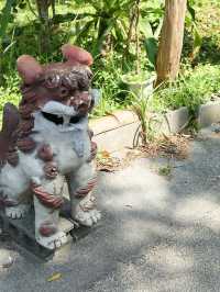 🌺Winter Wonderland in Okinawa: Yachimun No Sato Festival🥳