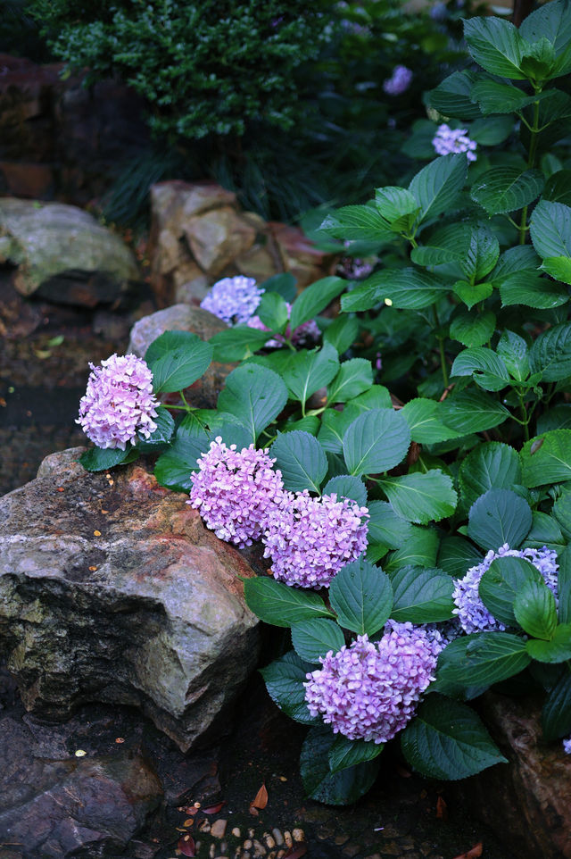 常熟燕園 常熟燕園