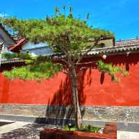 Hidden Gem in Xi'an : Guangren Temple 🏯