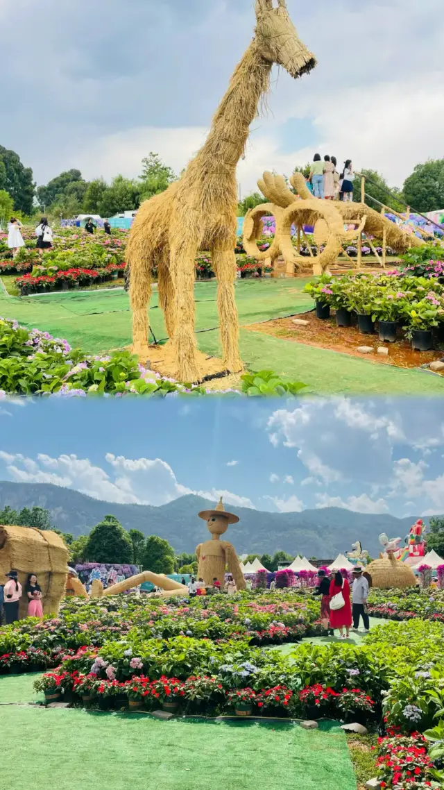 昆明海埂公園 | 寶藏之地