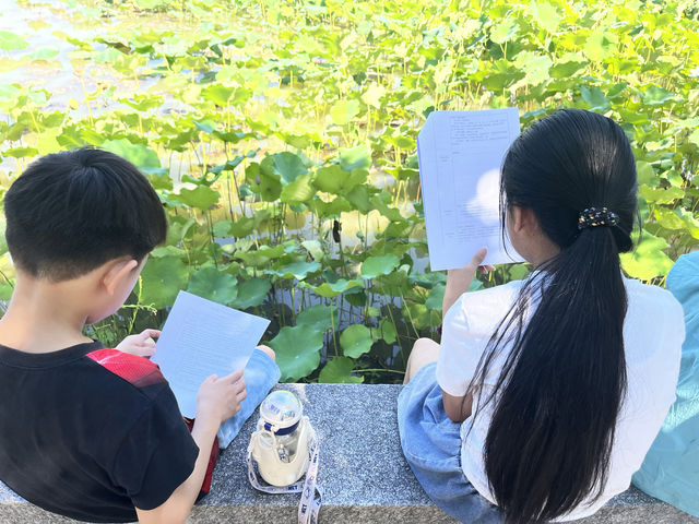 夏日荷花別樣紅，相約在永康香樟公園看荷