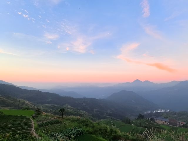 青田縣吳坑鄉尚仁村