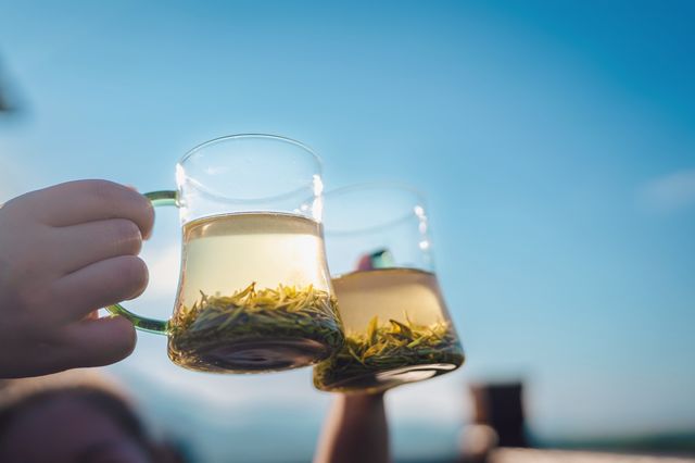 體驗採茶，吹著小風喝喝茶太愜意了