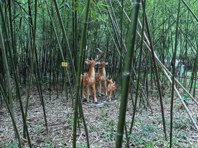 竹林水鄉西張趕