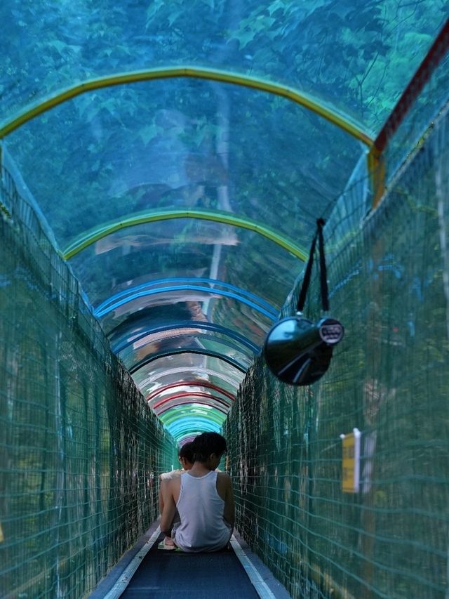 夏日炎炎，沉浸式體驗游龍峽漂流