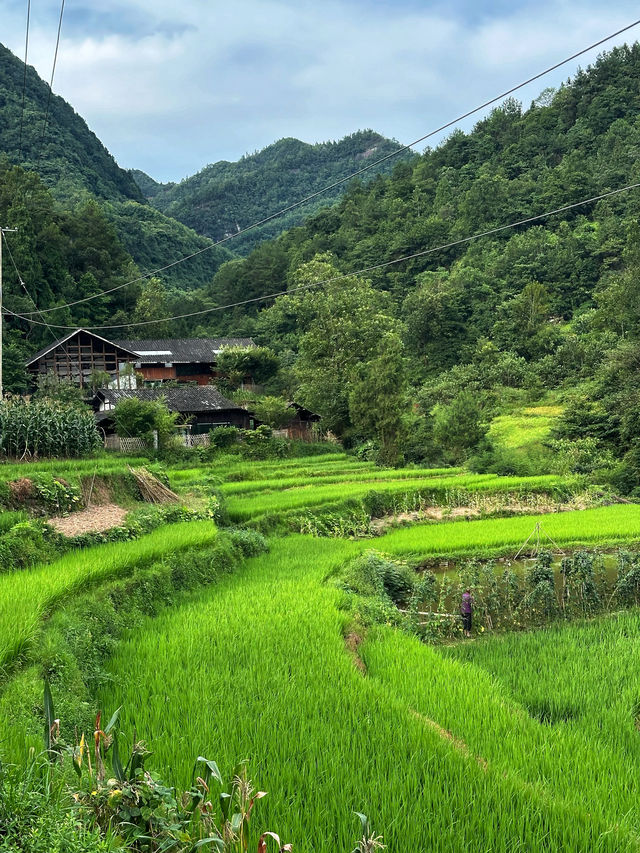 去山谷之間，溪水之中感受夏天的美好！