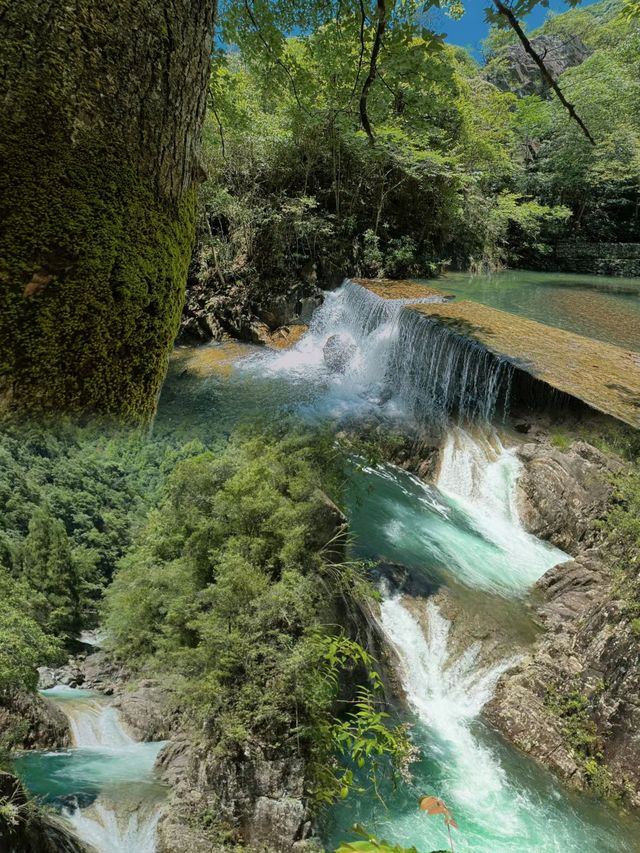 這個夏天誰還沒有去台州仙居淡竹玩水啊 這個夏天誰還沒有去台州仙居淡竹玩水啊