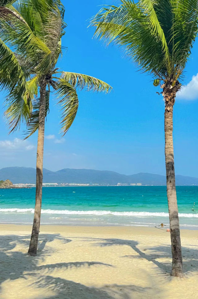 珠海 小眾沙灘椰樹 巨出片