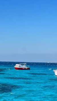 埃及紅海|赫爾格達浮潛追海豚攻略