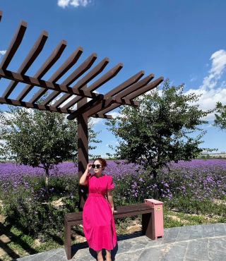 Walking into the sea of flowers in Lanzhou New Area feels like stepping into a dreamlike world